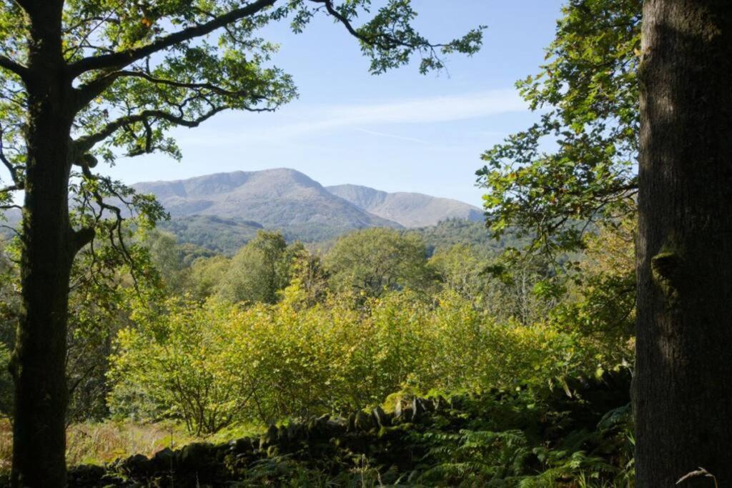 Pippins 7 Neaum Crag Apartment แอมเบิลไซด์ ภายนอก รูปภาพ